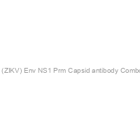 Recombivirus? Mouse Anti-Zika Virus (ZIKV) Env+NS1+Prm+Capsid antibody Combo IgG ELISA kit, 96 tests, Quantitative